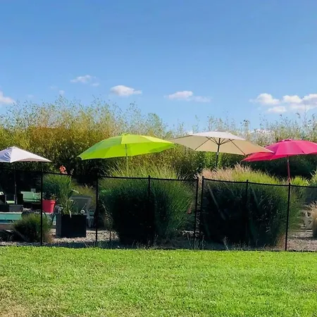 Kiwi - Domaine Du Pi Geonnier De Saint-vincent Holiday home *