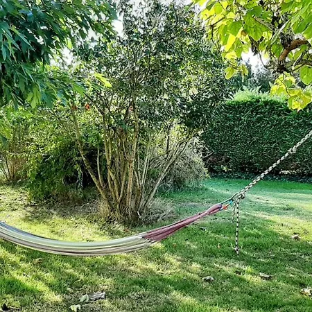 Kiwi - Domaine Du Pi Geonnier De Saint-vincent Bourran